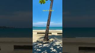 12h trưa trên bãi biển sơn trà- Đà Nẵng #danang #travel #bea…