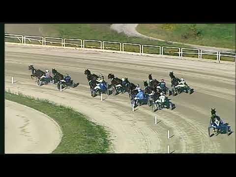 Napoli Trotto 11/11/2022 - 3ª corsa