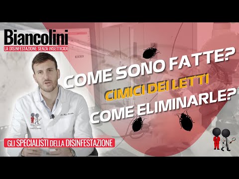Come striscia a occhiata di arieti I parassiti che vivono in muscoli
