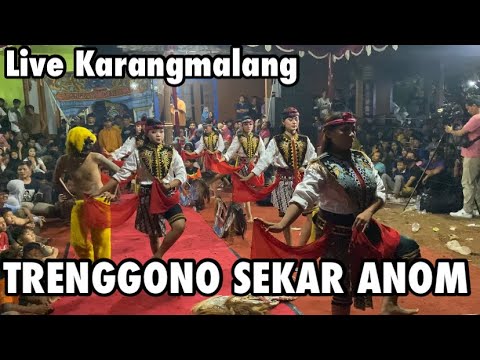 Jaran Kepang Putri•TRENGGONO SEKAR ANOM•Live Karangmalang-Kangkung 17.06.2023