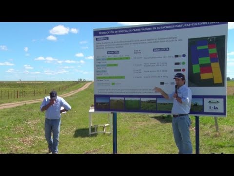 Día de Campo - Unidad Experimental Palo a Pique 2019 - Pablo Rovira