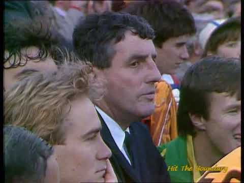 1988 VFL Grand Final: Hawthorn v Melbourne (5 minutes to go)