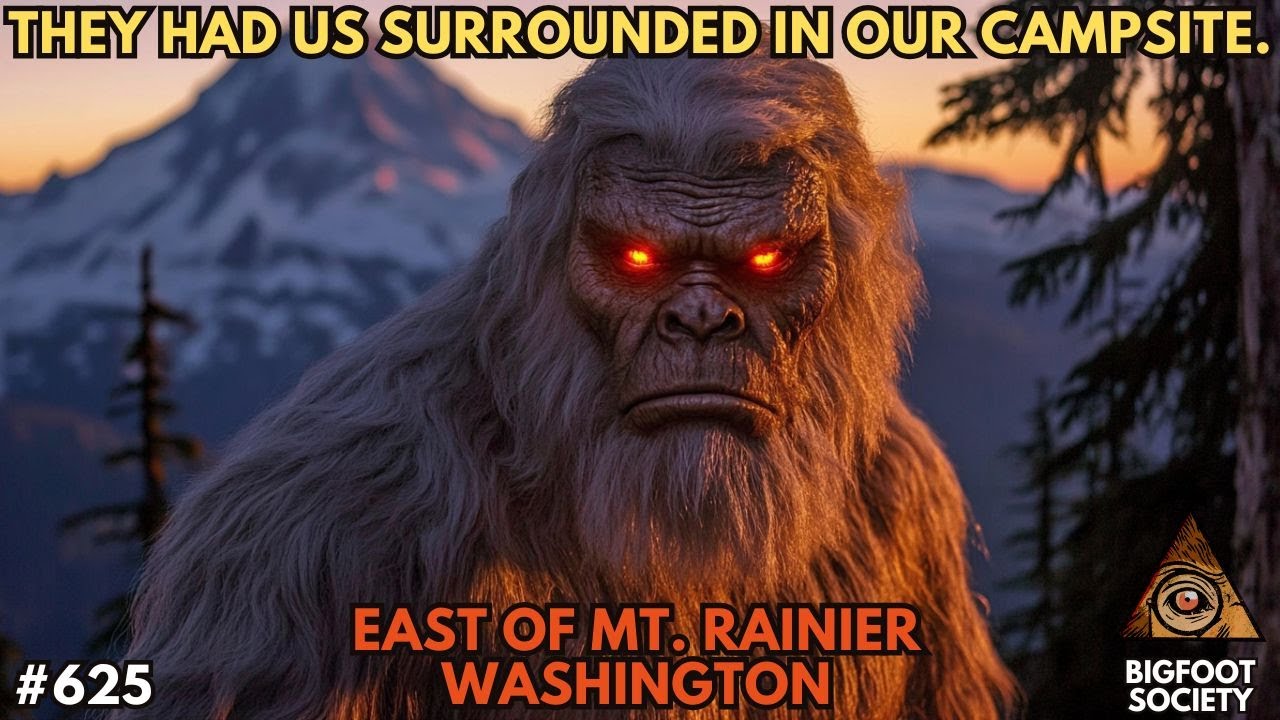 Surrounded by Sasquatch near Mt. Rainier!