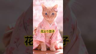 it's a cat.猫です！花より団子だけどね。#お花見#kimono #着物#cute #cat#ねこのいる生活 #猫のいる暮らし #着付け#AI