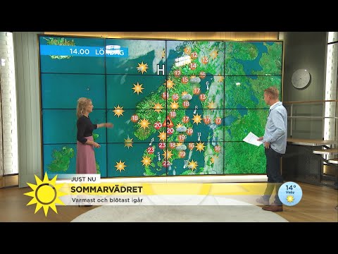 Varmast och blötast - så är det svenska sommarvädret - Nyhetsmorgon (TV4)