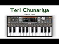 Teri Chunariya Dil Le Gayi Piano Org Shorts