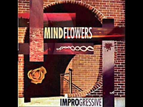 Mindflowers - Falling