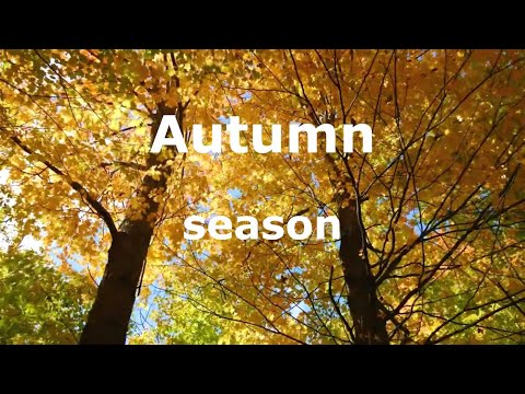 Autumn Season Vocabulary and Activities - ESL Lesson