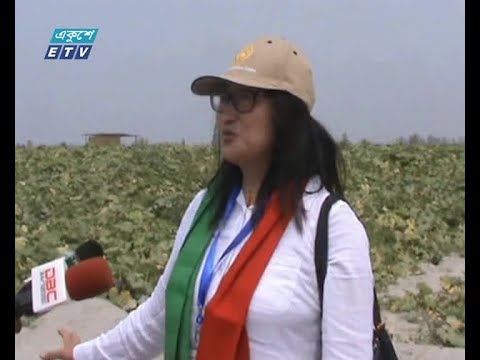 মিষ্টি কুমড়া চাষ করে হতদরিদ্র নারীরা স্বাবলম্বি