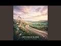 Open Road Bloom