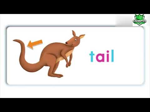 Oxford Phonics 3 Unit 4 ai