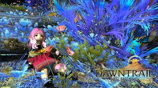 【FF14】#293 サカ・トラルへ【PS5】