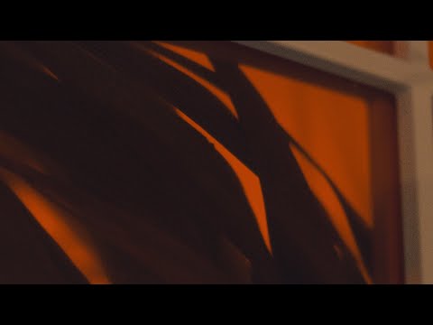 The Zombies - Time of the Season 1969 (Tings)