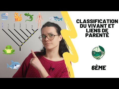 Classification et liens de parenté - 6ème - Madame SVT