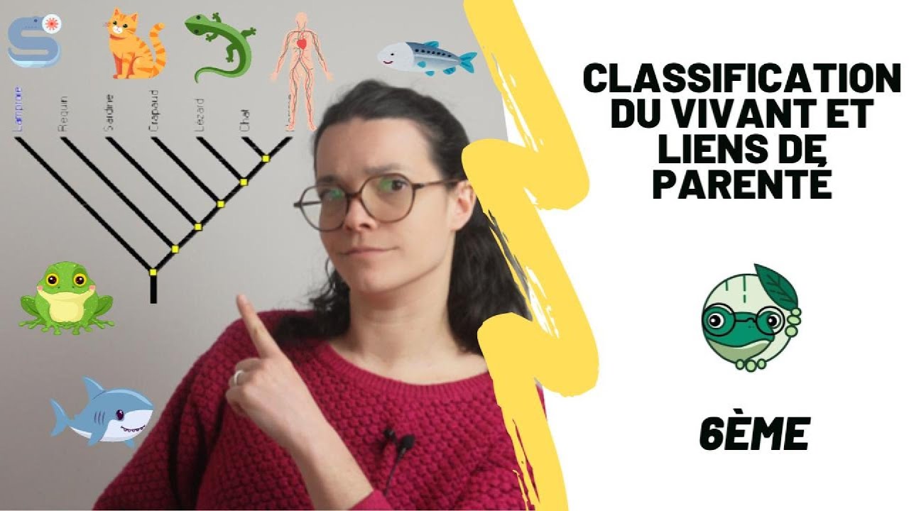 Classification et liens de parenté - 6ème - Madame SVT