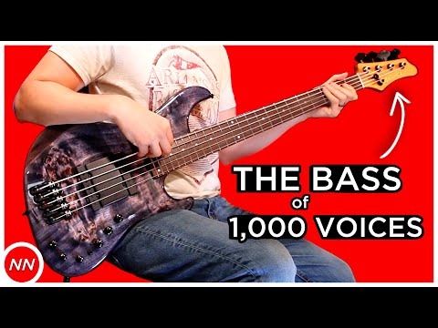 The Bass of 1,000 Voices | Ibanez MDM1605