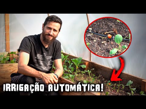 Let's AUTOMATE the vegetable garden and the raising of TILAPIA! - Chácara SV