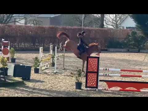 Last Samurai W&W video 4