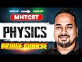Understanding Vectors and Scalars in Physics: A Comprehensive Guide
