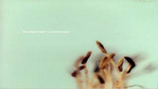Essex - The Album Leaf (2003)