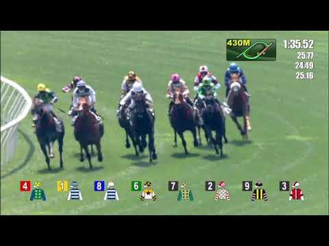 21/2/2021 (442) Panfield - J Moreira