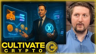 Solana Now on MetaMask, Elon Launches XPay