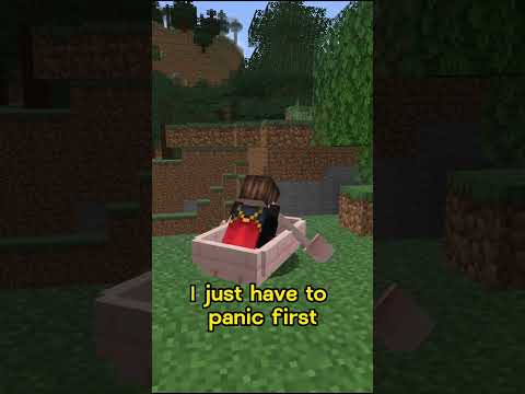 Mastering Stress with Minecraft Memes!
