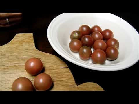 Tomato Tester: Black Cherry(Yard Prince)!