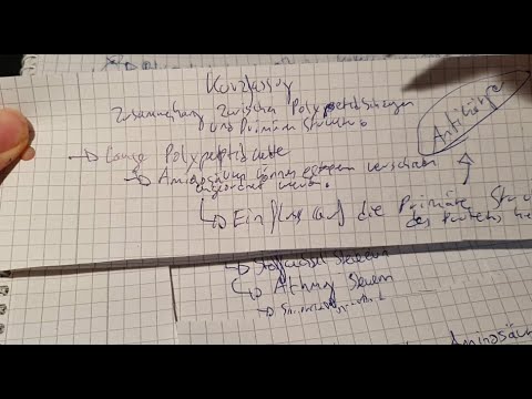 Kurzfassung zum Zusammenhang zwischen der Primärstruktur eines Proteins und Polypeptidbindungen