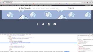 Remove Anything with Inspect Element Custom CSS