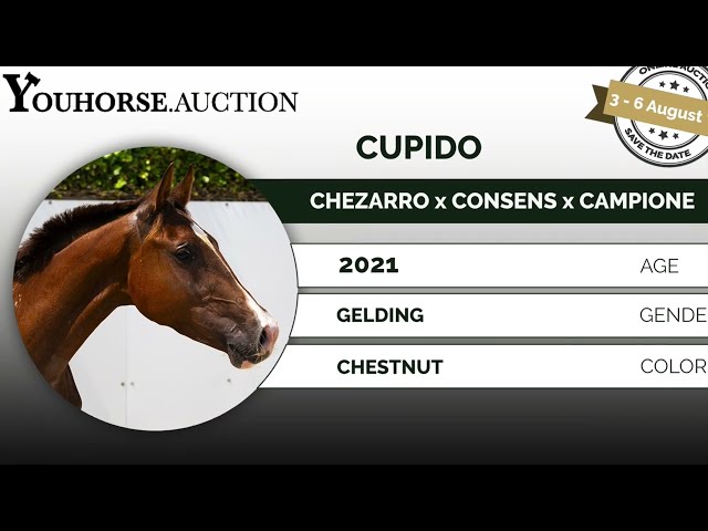Cupido