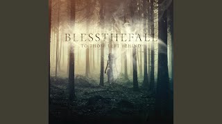 Looking Down From The Edge