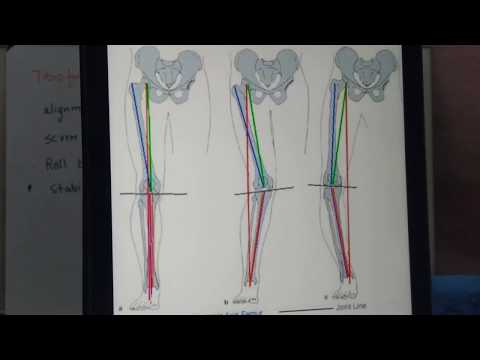 Biomechanics of Knee joint