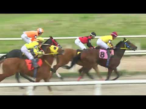 220909 c06 - MI AMIGO TOBY - HIPODROMO LAS PIEDRAS