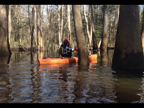 Cedar Creek (Kayak/Camp) *FLOOD STAGE* January 2015