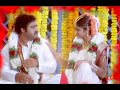 NTR Special Rakhi Title Stanza Ileana D Cruz Telugu Whatsapp Status