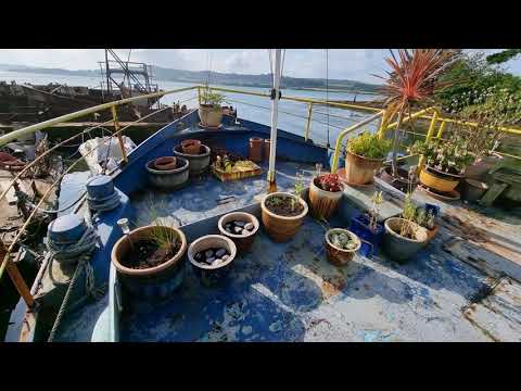 Dutch Barge 38m  - Boatshed - Boat Ref#303750