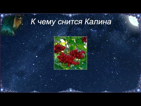 download lagu mp3 mp4 к чему снится калина, download lagu к чему снится калина gratis, unduh video klip к чему снится калина