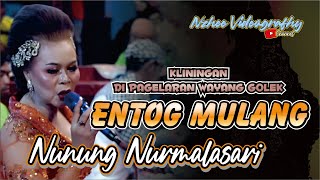 Download lagu ENTOG MULANG VOC NUNUNG NURMALASARI MAESTRO JURU KAWIH SUBANG KLININGAN GENTRA PAWENANG mp3 Download lagu ENTOG MULANG VOC NUNUNG NURMALASARI MAESTRO JURU KAWIH SUBANG KLININGAN GENTRA PAWENANG mp3