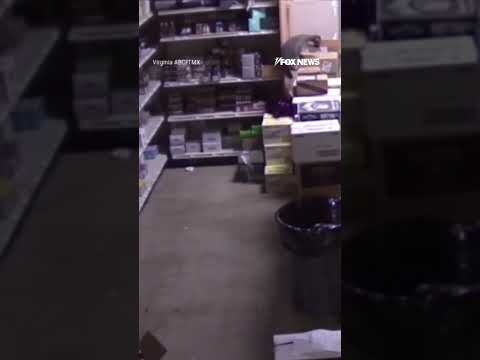 PARTY ANIMAL: Newly released video shows the raccoon that broke into a closed liquor store #shorts