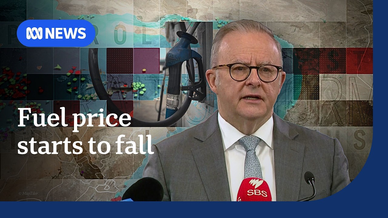 Fuel prices fall, but PM says they'll stay high for some time | ABC MEWS