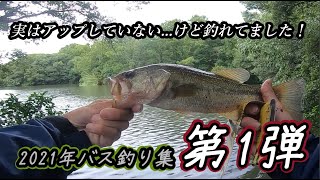 【初の落ち〇〇で、テンションMAX】2021年 真夏のバス釣り集 ~第1弾~