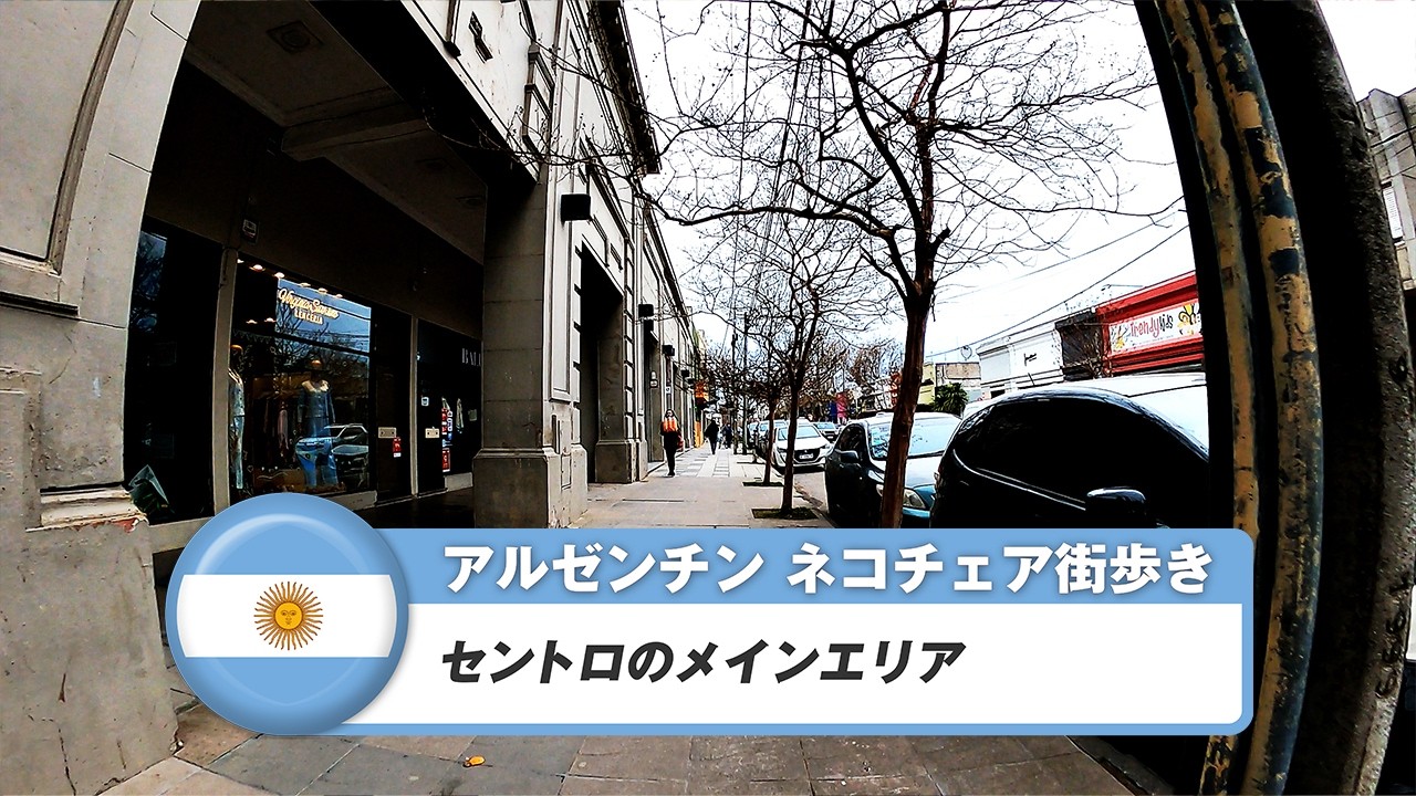 【アルゼンチン】ネコチェア①セントロのメインエリア