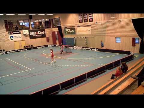 New Body 2013/2014 2013-11-23 Lindås IBK F00 - FBC Lerum 2 F00 (7-3) PER1