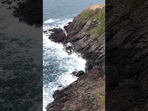 İğneada'nın Vahşi Karadeniz Kıyıları 🌊 | Drone Çekimi Part 3 #Shorts