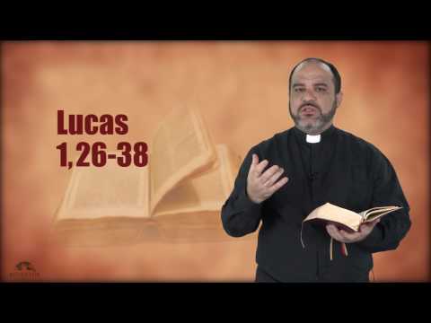 Evangelho do dia - 08/12/2016