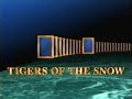 National Geographic Tigers Of The Snow 1996
