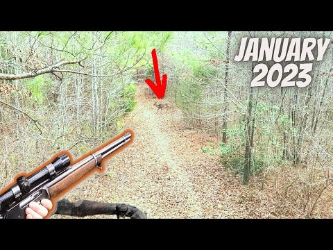 Nylon 66: Remington's Revolutionary Plastic Rifle