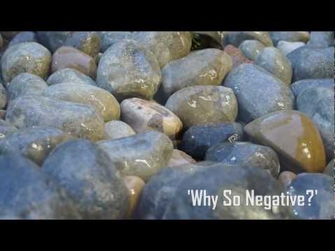 Greyish Quartet: 'Why So Negative?' [Official HD]
