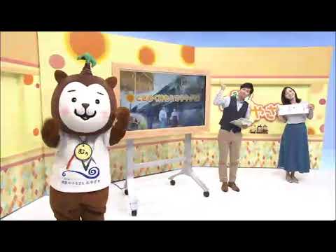 2021年7月3日(土)放送 「ときめく神もうで キキタビ！」